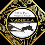 Vanilla
