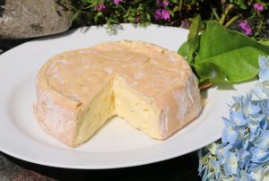 Matahari Cheese Picture