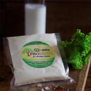 Probiotic Cheese Photo