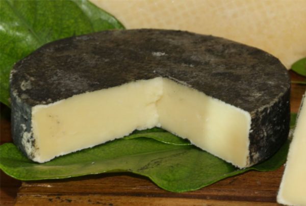 Rahu-Cheese-Pic