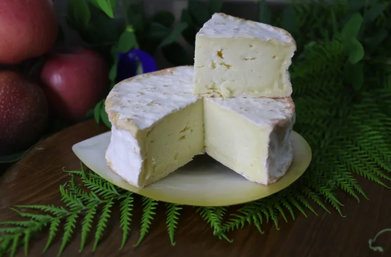 Camembert Cheese by Pasti Enak