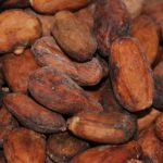 Cacao Beans