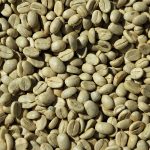 Coffee Green Robusta Arabica