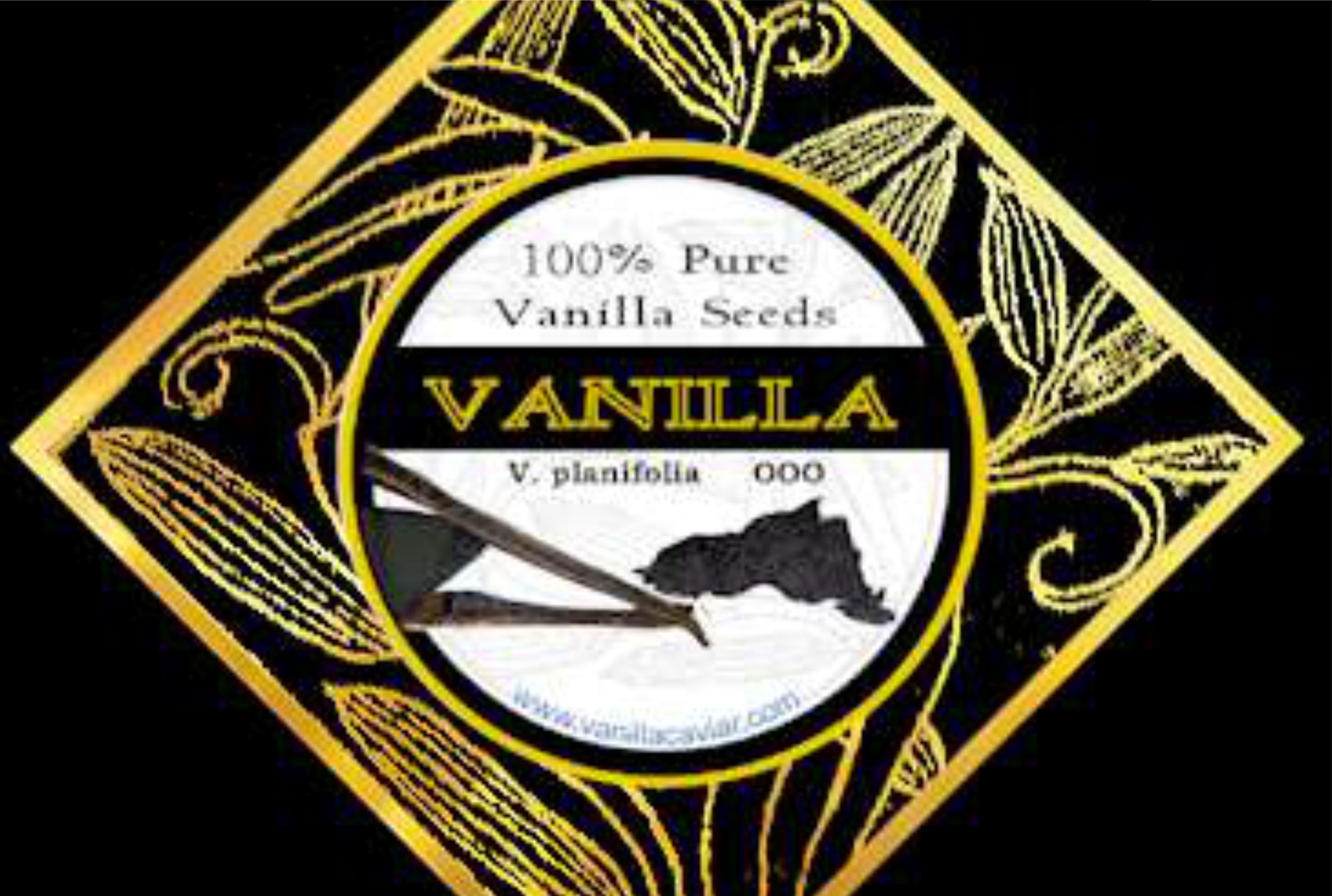 Vanilla