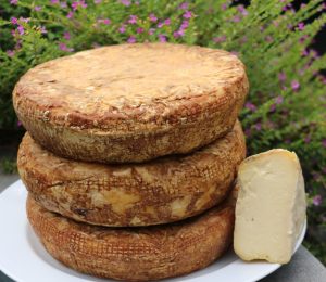 O Diary logo Artisan Cheese