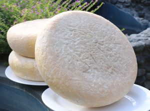 WhatsApp Image 2021-03-02 at 16.03.50 Wholesale Cheese Wheels