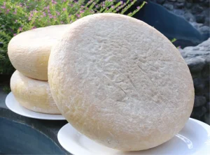 Fromage en gros Bali Nectaier