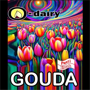 Gouda