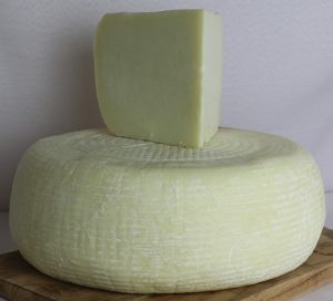 Wholesale Bulk Cheese